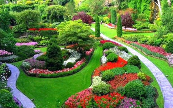 Landscaping